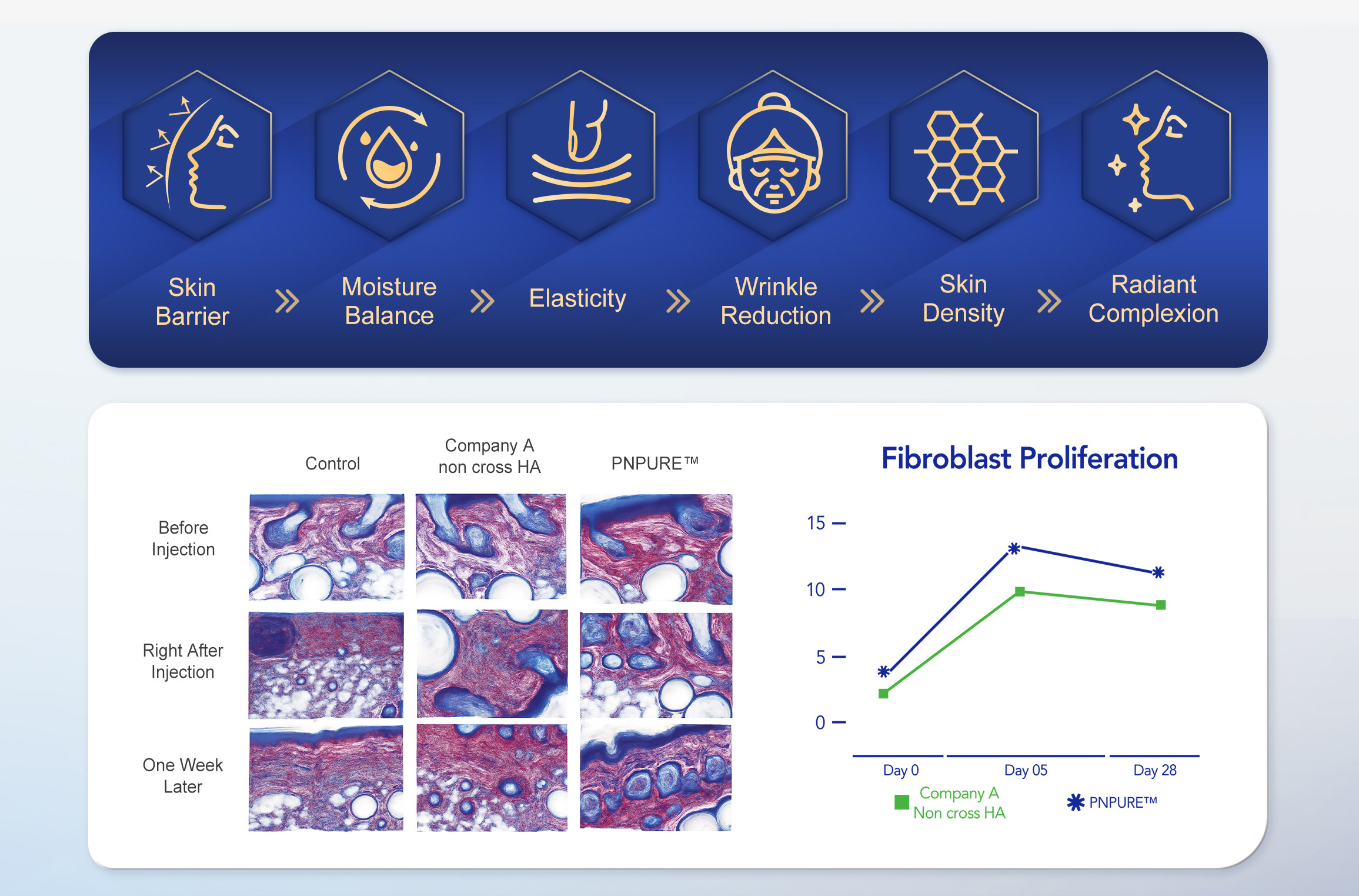 Polynucleotides Injections