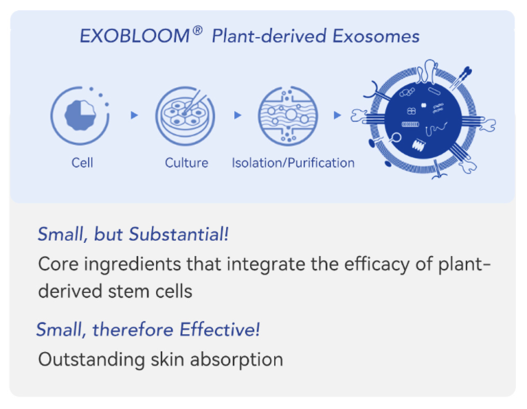 exosomes for face